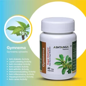 Gymnema Capsule Ingredients
