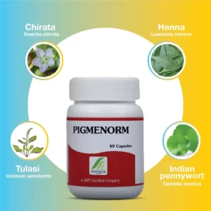 Pigmenorm Capsule Ingredients